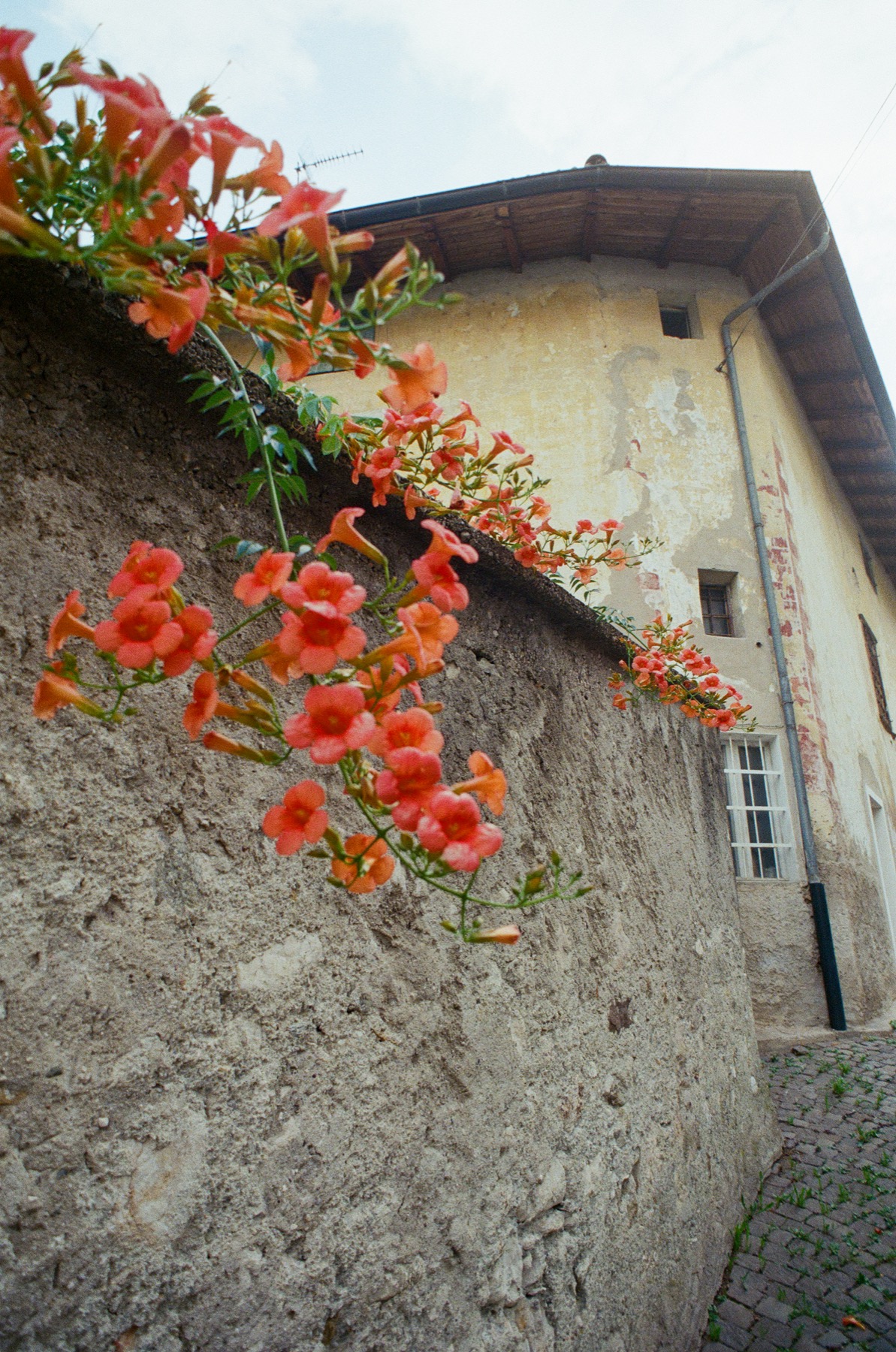 Casa Carlotta